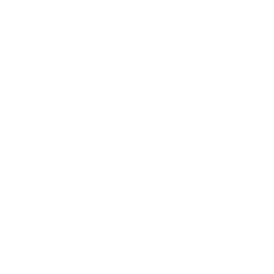 Anju Software