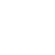 NS - Nederlandse Spoorwegen - Dutch Railways